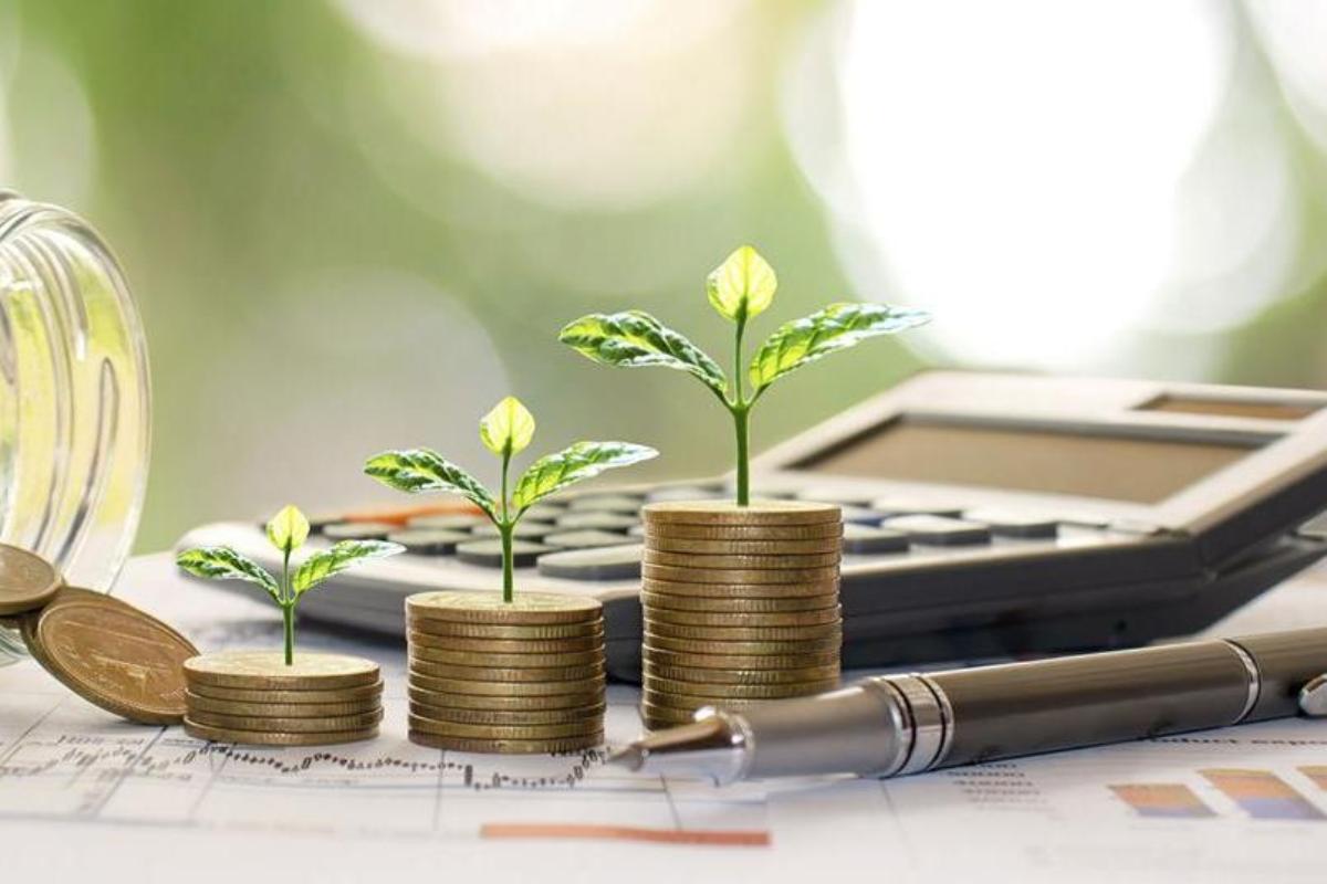 India’s Steady ESG Path: Why Policy Stability Matters for Businesses and Investors